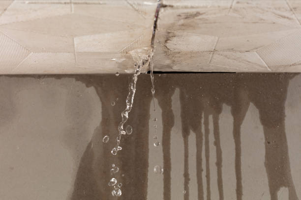 Professional Water Damage Restoration technician working in Agua Dulce, TX